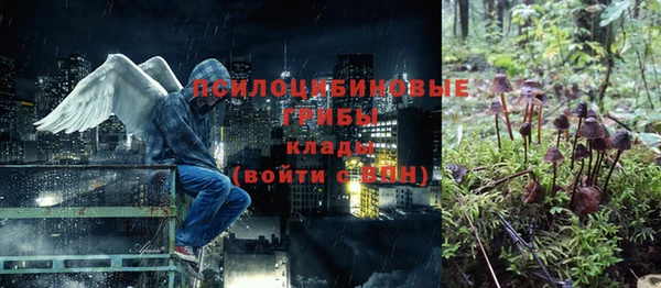 каннабис Ельня