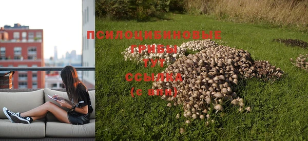 а пвп мука Абдулино
