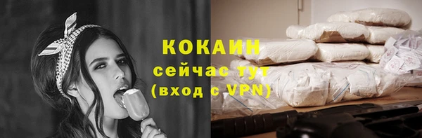 винт Абаза
