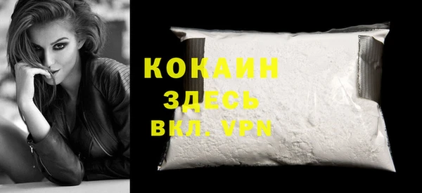 винт Абаза