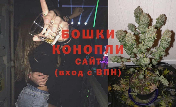 прущие грибы Елабуга