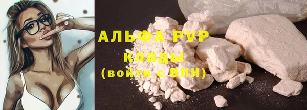 винт Абаза