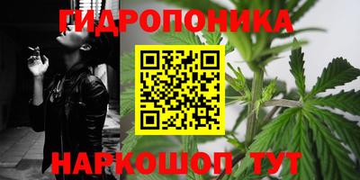 ешки Гагарин