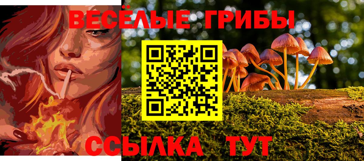 Галлюциногенные грибы прущие грибы Камень-на-Оби