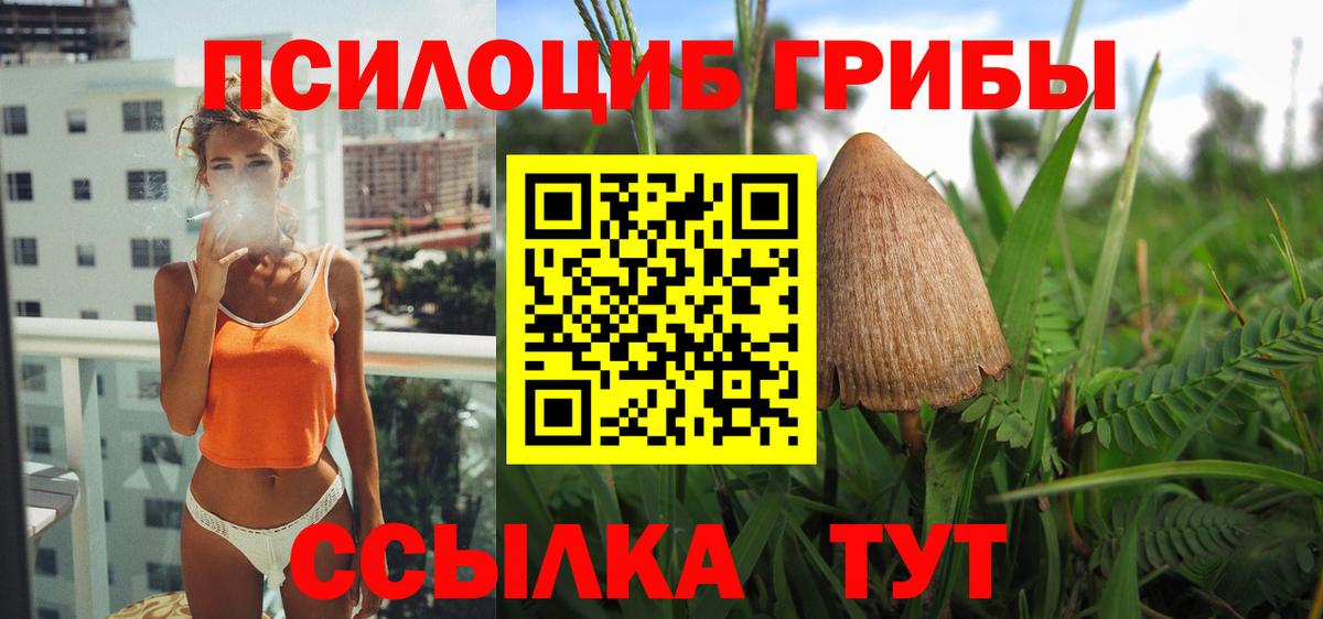 Галлюциногенные грибы мицелий  Вход с VPN  Камень-на-Оби 